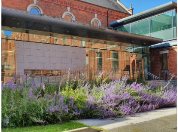 Entrance to Smurfit Library